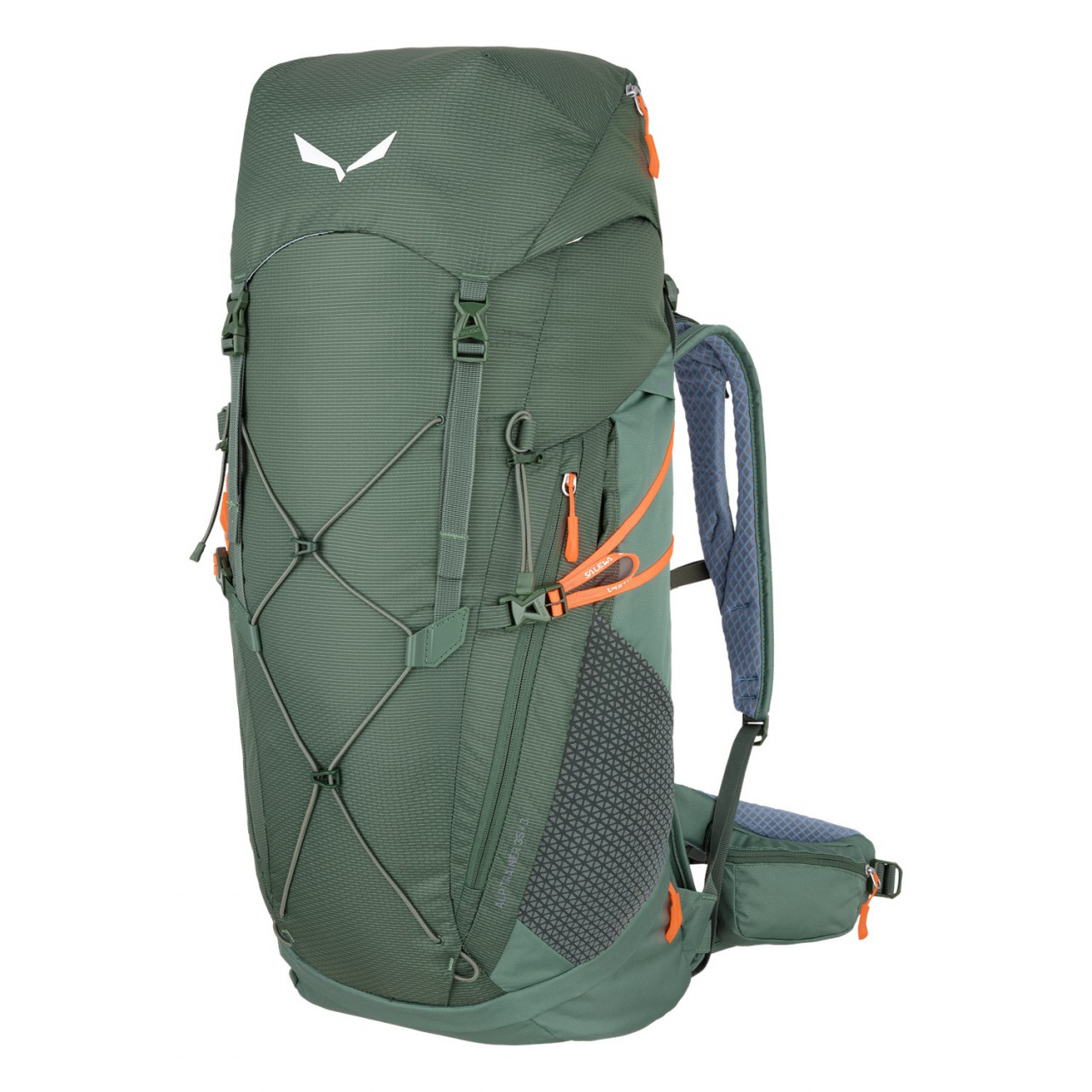 Salewa Alp Trainer 35+3L Backpacks Green TEW-856421